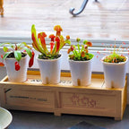 3" Self Watering Pots, 20 Sets Self Watering Planter Pots - Image 8