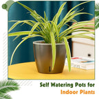 Self Watering Pots for Indoor Plants, Small African Violet Pots - Image 6