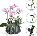 12 Pack Plant Support Stakes - Image 5