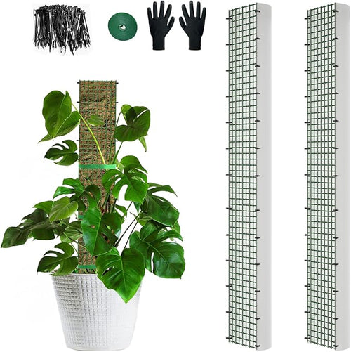 40" Metal Moss Pole, D Shape Sphagnum Moss Pole, Moss Poles by HOLANHING