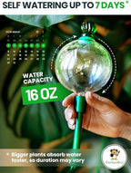 16 Oz Plant Watering Globes for Indoor Plants - Image 2