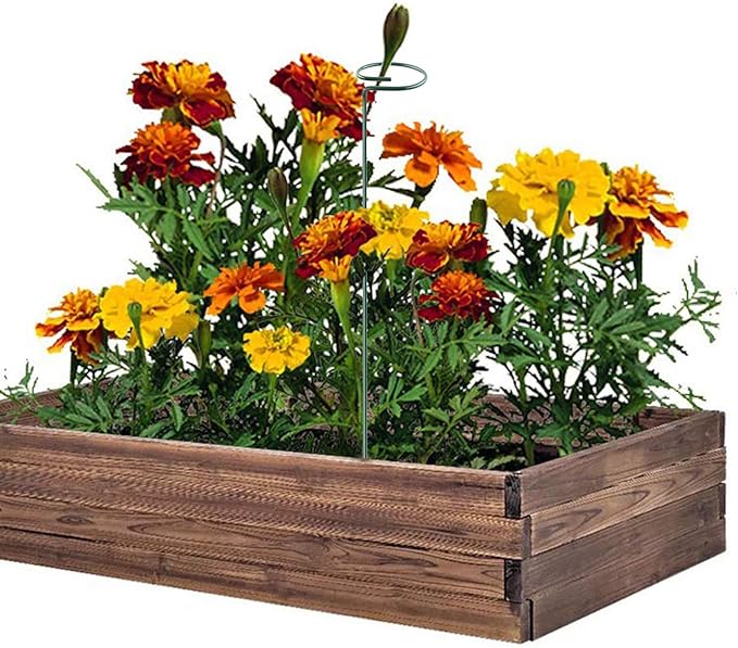 Plant Stake Support - Image 4