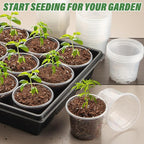Clear Seedling pots 100-Pack 3.2 Inches Round - Image 7