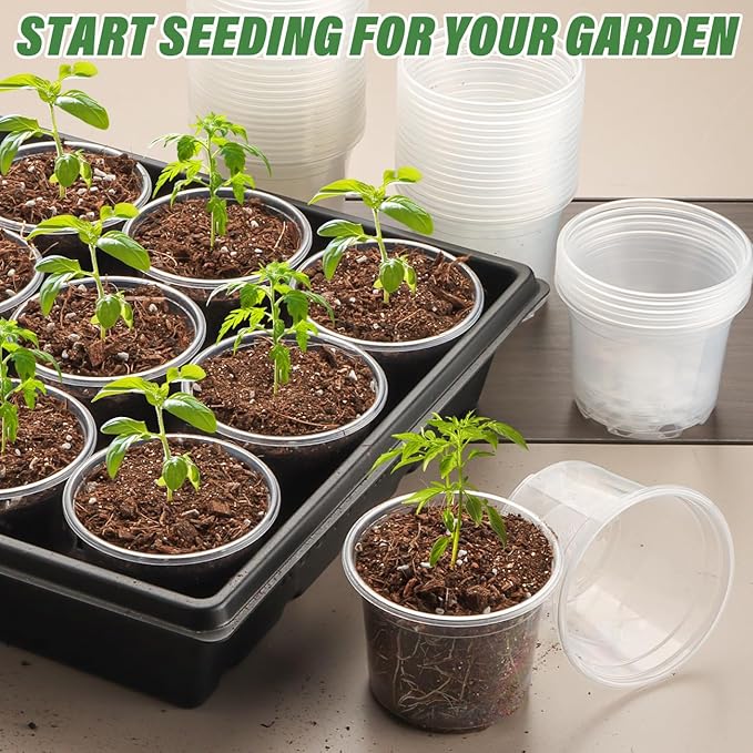 Clear Seedling pots 100-Pack 3.2 Inches Round - Image 7