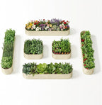 6-Pack 18” Tall Galvanized Raised Garden Beds – New Home Garden Layout by Annoell