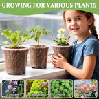 60 Pack 6 Inch Clear Nursery Pots - Image 7
