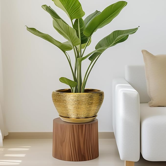 Ceramic Planter 11 Inch - Image 7