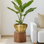 Ceramic Planter 11 Inch - Image 7