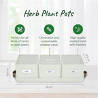 volila Herb Planter Indoor - Image 2
