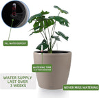 Dexceder 11x10 Inches Self Watering Planter Indoor Outdoor, Inner Pot Design - Image 5