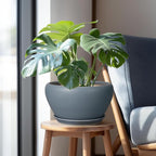 Ceramic Plant Pot - Image 5