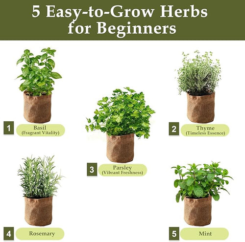 5 Herb Garden Planter Indoor - Image 2