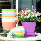 Tergy 50 Pack 4 Inch Plant Pots Bulk Small Plastic Planters Pots - Image 4