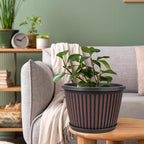 Planter-Pots-for-Plants-Indoor-Outdoor, 4 Pack 10 Inch Plastic Flower Pots - Image 7