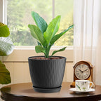 6 inch Plant Pots, 5 Pack Flower Pots - Image 5