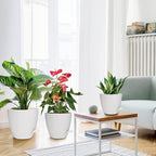 Planters for Indoor Plants, 8/7/6.5/6/5.5/5 Inch Self Watering Planters - Image 6