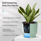T4U 4 Inch Plant Pots Self Watering, 6 Pack African Violet Pots, Small Plant - Image 5