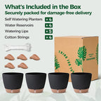 T4U 6 Inch Self Watering Pots for Indoor Plants - Image 6