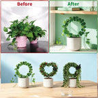 Indoor Climbing Plant Trellis - Image 4