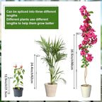 Mwellewm 6 Sets Plant Stakes 12/25/36 Inch Adjustable Plant Support Stakes Tall - Image 4