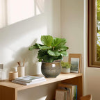 Self Watering Planters for Indoor Plants, 6 Inch Ceramic African Violet Pots - Image 7