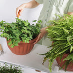 YIKUSH Hanging Planter for Indoor and Outdoor Plants 2 Pack 12 inch Flower Pot - Image 7