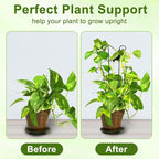 23in Plant Trellis Indoor, Trellis - Image 3
