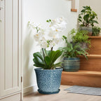 10 Inch Plant Pot - Image 6