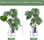 Joyhalo 6 Pack Plant Support Stakes, 16 Inch Peony Cages and Supports, Flower - Image 2