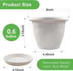 8 Inch Flower Pots Planters for Indoor Outdoor Plants, 4 Pack Plastic Small - Image 3
