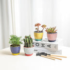 Selamica Ceramic Succulent Pots, 3.5 Inch Small Plant Pots - Image 2