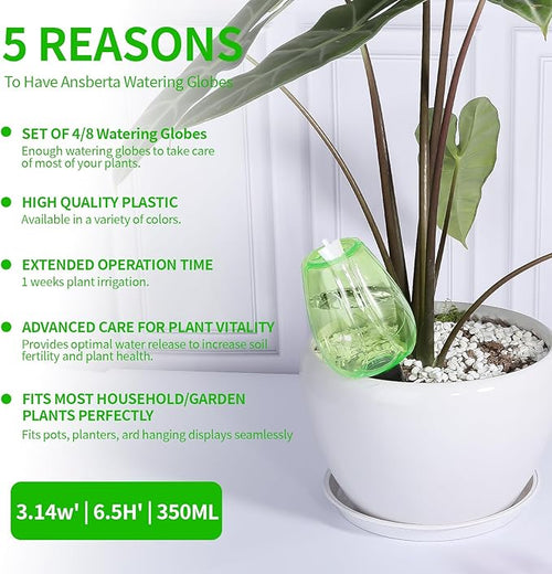 4 Pcs Plant Watering Globes Self Watering Planter Insert Plants Top Fill Water - Image 2