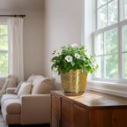 Ceramic Plant Pots - Image 6