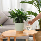 Plant Pots 6 PCS 5 inch Self Watering Planters High Drainage Flowers Pot - Image 2