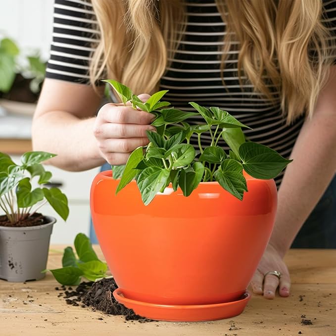 Indoor Plant Pot 8 Inch - Image 5