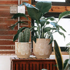 YBX 8 Inch + 6 Inch White Flower Pattern Plant Pots, Sand Glazed Ceramic Planter - Image 3