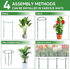 12 Pack 32 or 16 inch Adjustable Plant Support Stakes, Heavy-Duty Half Round - Image 7