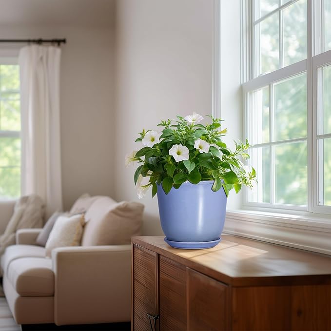 Ceramic Pots for Plants - Image 6