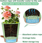 5in Self Watering Pots for Indoor Plants - Image 4