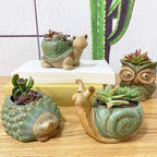 Small Ceramic Succulent Pot - Image 4