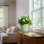 Ceramic Flower Pots - Image 6