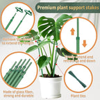 Telescoping Plant Stakes, Plant Sticks Support Tall - Image 3