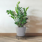 Self Watering Pots for Indoor Plants, 12 inch Planters - Image 7