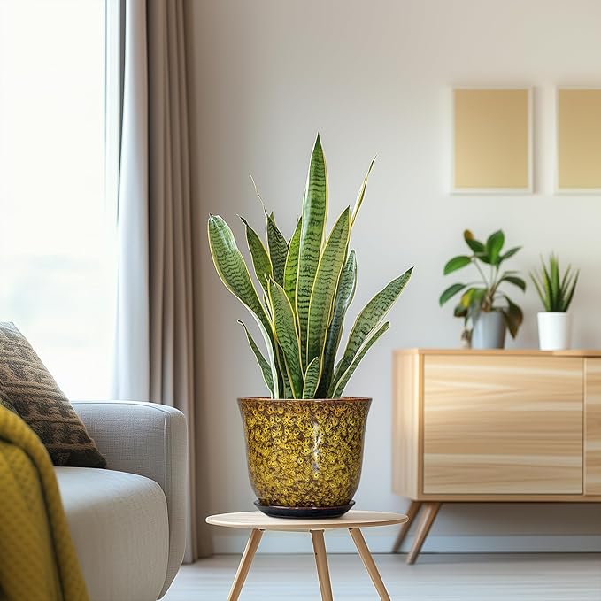 Ceramic Planter - Image 5