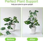Plant Trellis for Potted Plants 2p, Larger 23in Garden Trellis for Climbing - Image 2