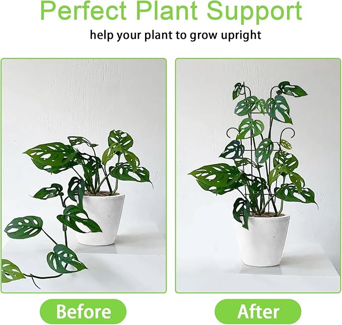Plant Trellis for Potted Plants 2p, Larger 23in Garden Trellis for Climbing - Image 2