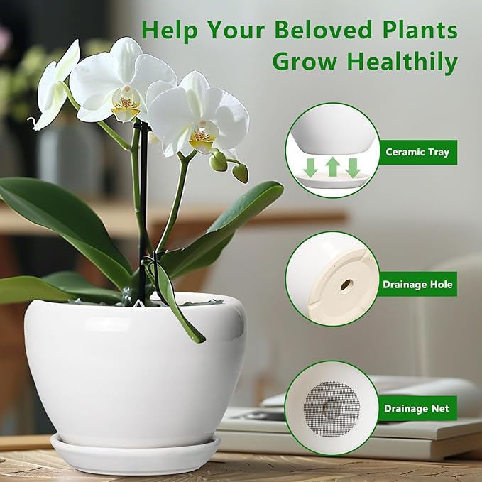 Ceramic Pot for Plants - Image 5