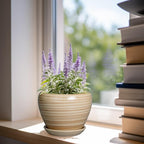 6 Inch Plant Pot Ceramic - Image 2