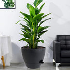 12 inch Large Self Watering Pots, Plastic Planters - Image 6