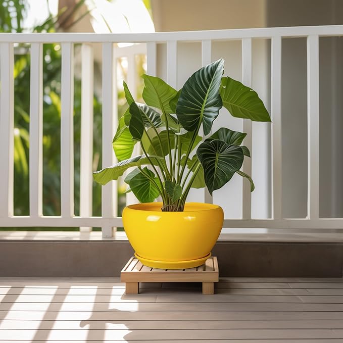 Indoor Planter 11 Inch - Image 2